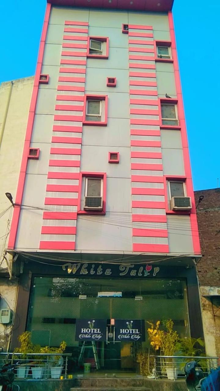 Hotel White Tulip Amritsar Esterno foto